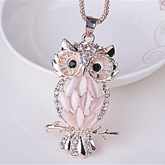 Jewelry - NWT Gorgeous Owl Pendant Sweater Necklace Opal